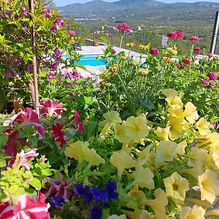 Biokovski Zagrljaj Willa *